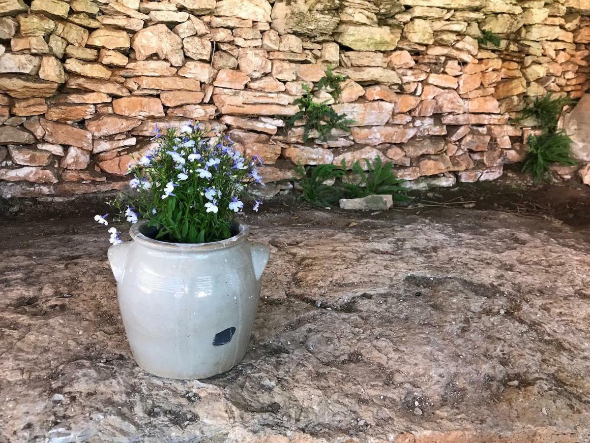 Calvignac Chambres D'Hotes Pech Blanc المظهر الخارجي الصورة