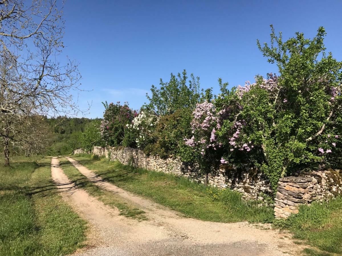 Calvignac Chambres D'Hotes Pech Blanc المظهر الخارجي الصورة